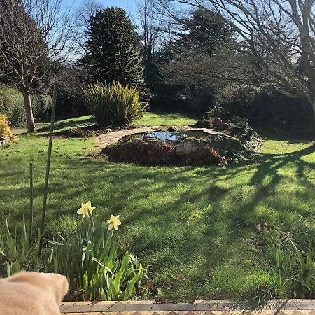 Hartree Guest House Newton Abbot Dış mekan fotoğraf
