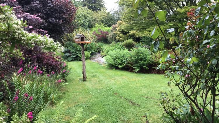 Hartree Guest House Newton Abbot Dış mekan fotoğraf